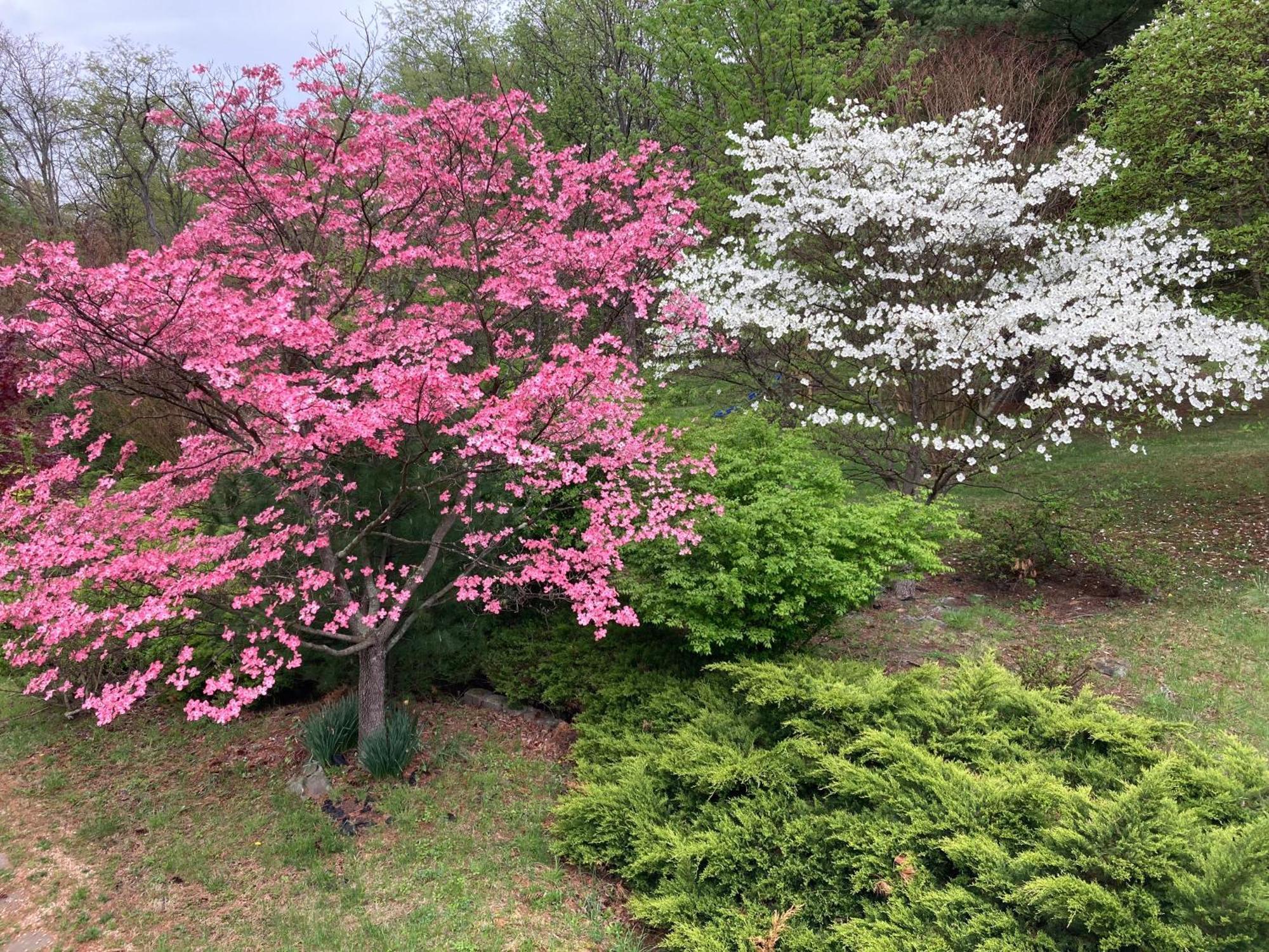 Purcellville Home 외부 사진
