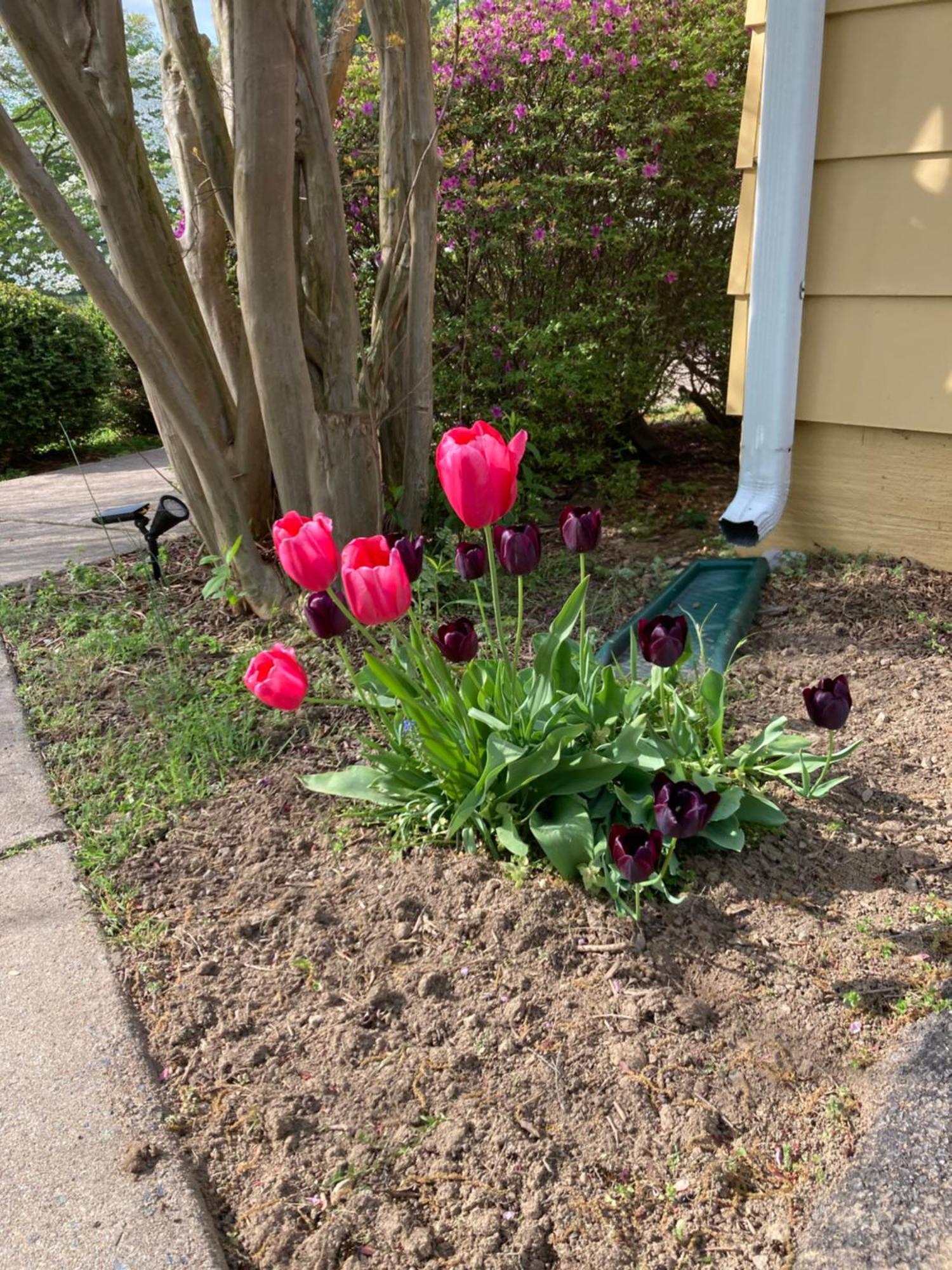 Purcellville Home 외부 사진
