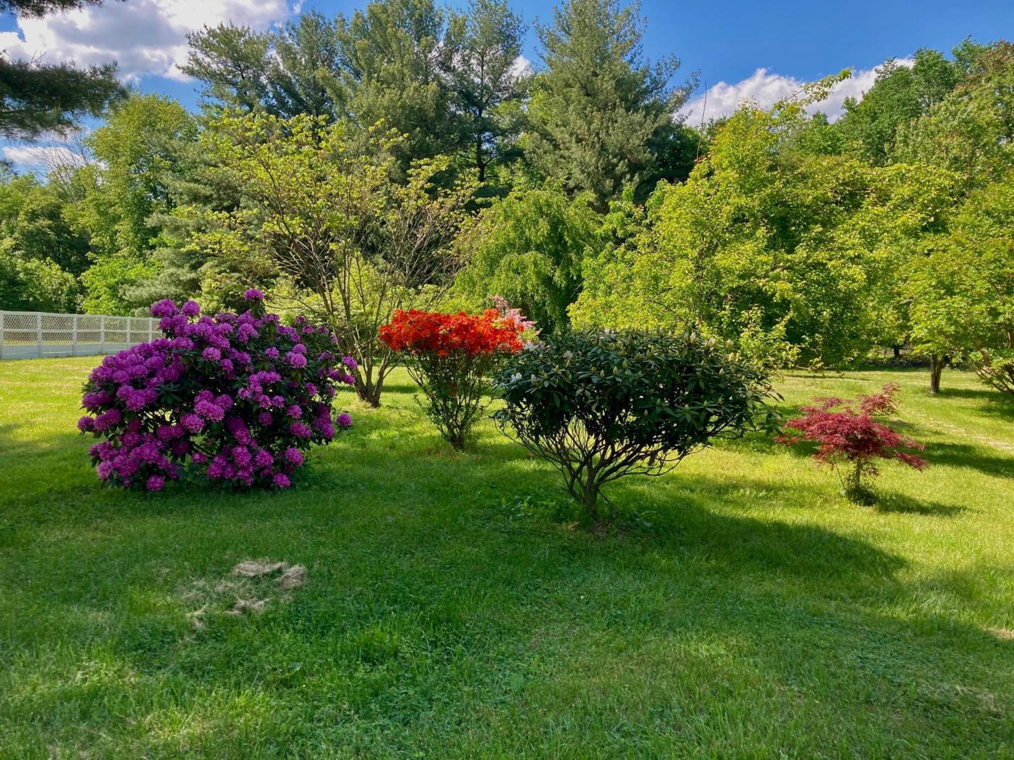 Purcellville Home 외부 사진