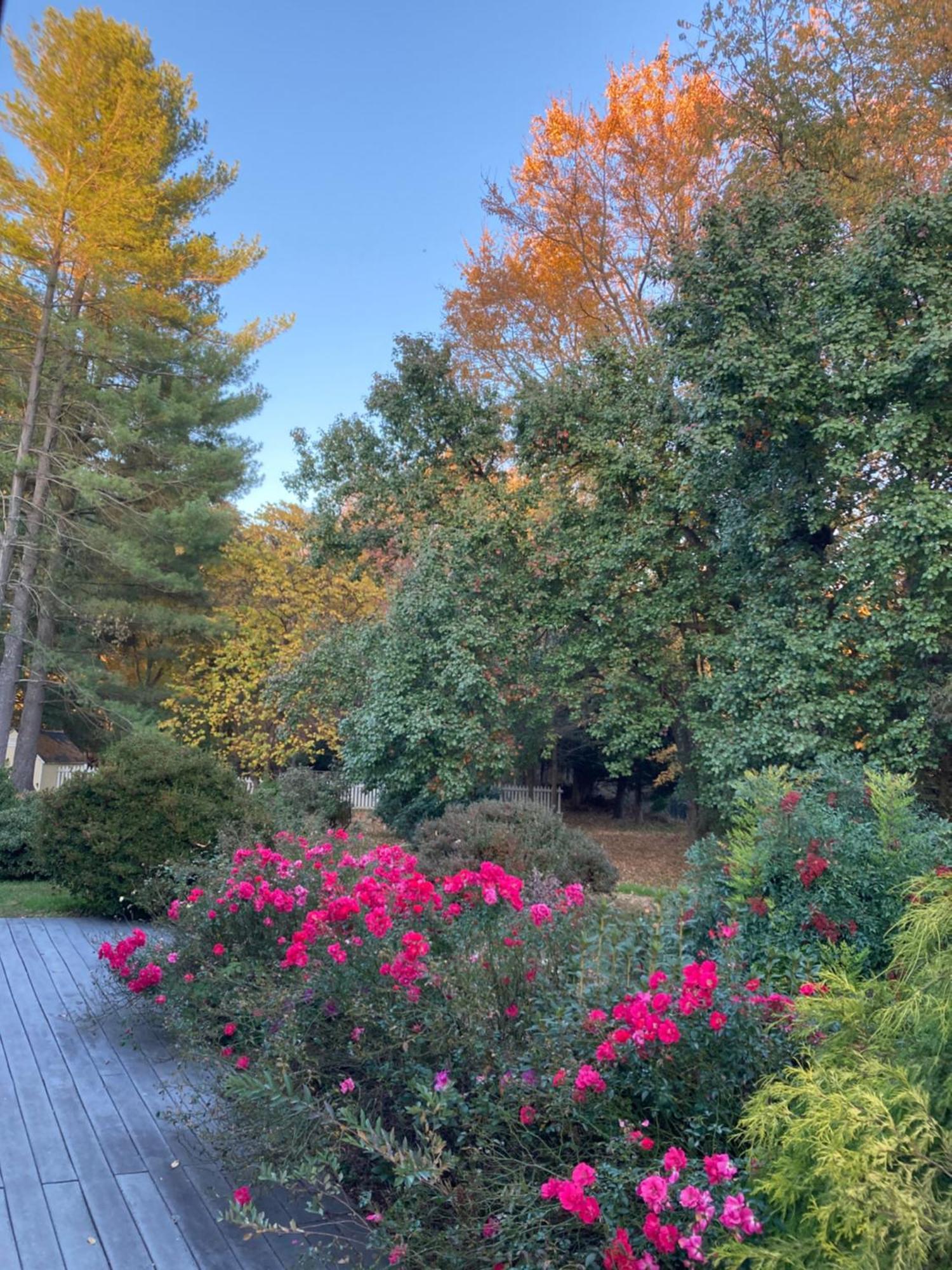 Purcellville Home 외부 사진